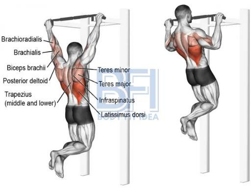 Benefits of doing a pull up