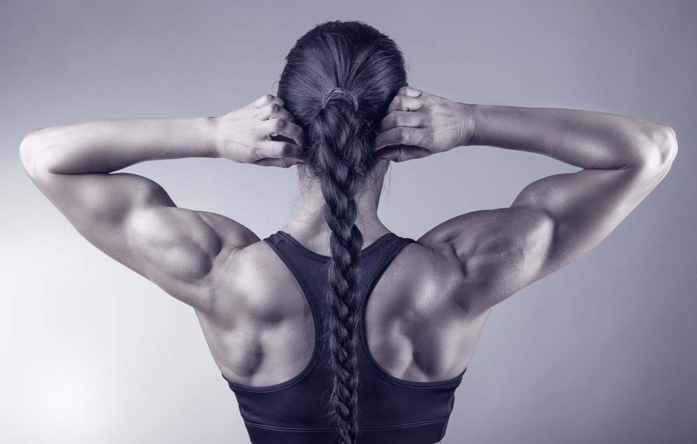 bicep and shoulder workout