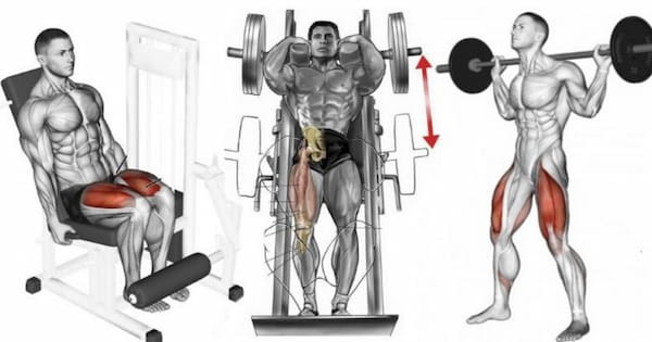 Benefits of Leg and Shoulder Workouts